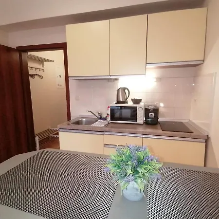 דירה Apartmanovy Dom Kamzik,donovaly, A Studia *