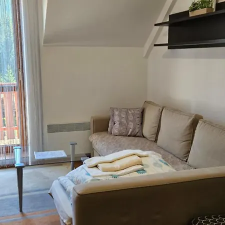 Apartmanovy Dom Kamzik,donovaly, A Studia 아파트 *