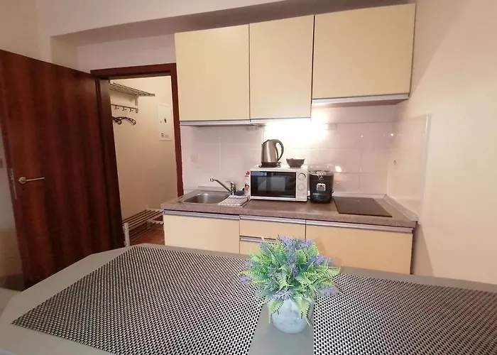 Lejlighed Apartmanovy Dom Kamzik,donovaly, A Studia *