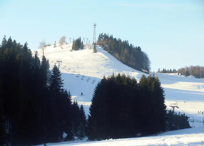 Lejlighed Apartmanovy Dom Kamzik,donovaly, A Studia *